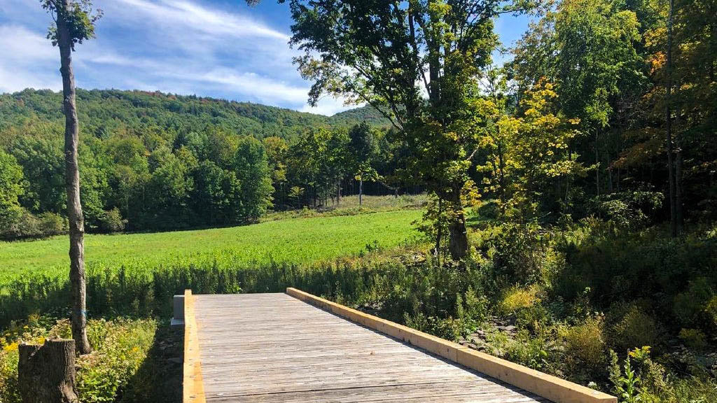 Beekeeping In The Hudson Valley and Catskills